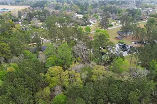 511 Lewis St, Brooklet, GA 30415 - Photo 49