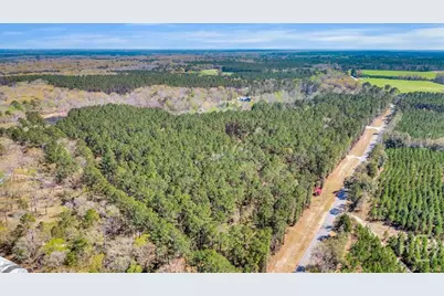 5200 Old River Road S, Brooklet, GA 30415 - Photo 47