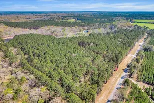 5200 Old River Rd S, Brooklet, GA 30415 - Photo 47