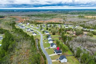 235 Owens St NE, Ludowici, GA 31316 - Photo 45