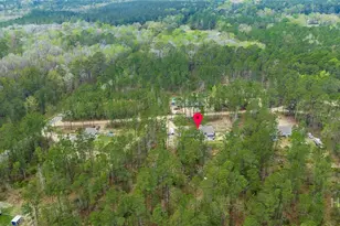 69 Babe Landon Ln, Fleming, GA 31309 - Photo 45