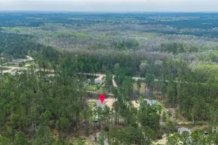 69 Babe Landon Ln, Fleming, GA 31309 - Photo 43