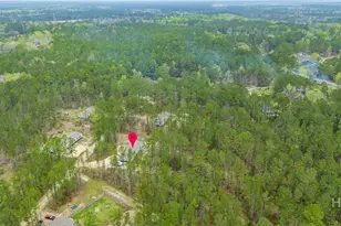 69 Babe Landon Ln, Fleming, GA 31309 - Photo 47
