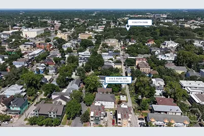 310 E Park Avenue, Savannah, GA 31401 - Photo 59