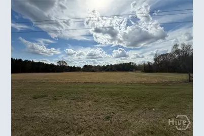 997 NE Darwel Long Road, Ludowici, GA 31316 - Photo 3