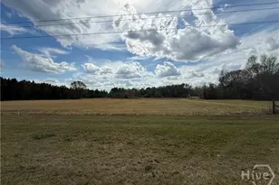 997 NE Darwel Long Rd, Ludowici, GA 31316 - Photo 3
