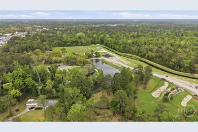 424 Timberlane Circle, Hinesville, GA 31313 - Photo 59