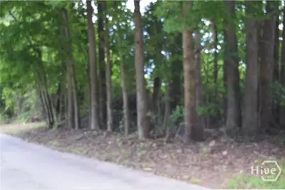 102 Trellis Way, Savannah, GA 31419 - Photo 29