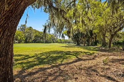 5 Clifton Lane, Savannah, GA 31411 - Photo 45