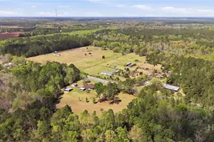 22010 Ga Hwy 46, Pembroke, GA 31321 - Photo 53