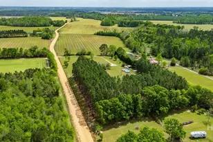 2555 Sam Tillman Rd, Statesboro, GA 30458 - Photo 47