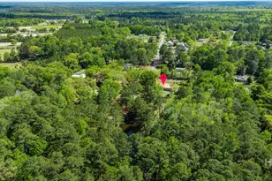 331 Planters Dr, Ellabell, GA 31308 - Photo 53