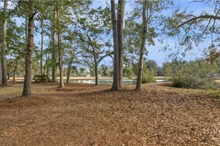 102 Egrets Way Ln, Richmond Hill, GA 31324 - Photo 41