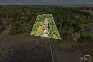 725 Youman's Rd, Midway, GA 31320 - Photo 59