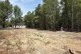 800 O F Lanier Rd, Pembroke, GA 31321 - Photo 23