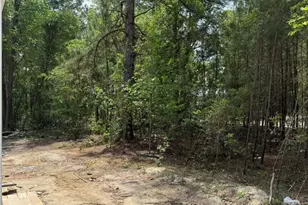 800 O F Lanier Rd, Pembroke, GA 31321 - Photo 57