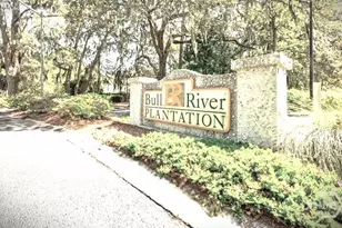 52 Bull River Bluff Dr, Savannah, GA 31410 - Photo 33