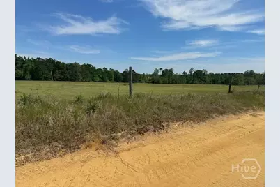 2905 Donald Cobb Road, Bartow, GA 30413 - Photo 3