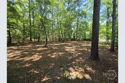 219 Surrey Road, Hinesville, GA 31313 - Photo 21