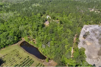 570 Brogdon Road, Guyton, GA 31312 - Photo 35