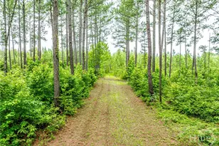 3385 Hwy 83 S, Monticello, GA 31064 - Photo 57