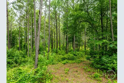 3385 Highway 83 S, Monticello, GA 31064 - Photo 53