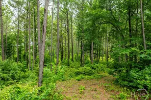 3385 Hwy 83 S, Monticello, GA 31064 - Photo 53