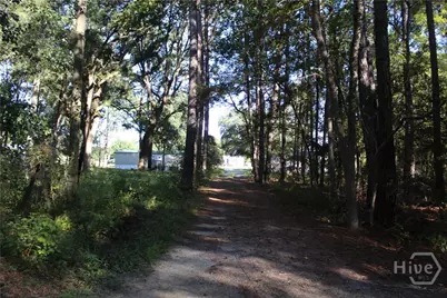 2525 Cartertown Road, Richmond Hill, GA  - Photo 3