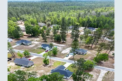 73 Taylor's Creek Spur, Ludowici, GA 31316 - Photo 39