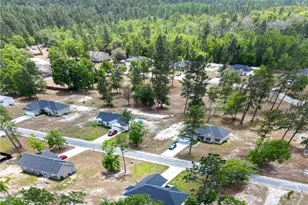 73 Taylors Creek Spur, Ludowici, GA 31316 - Photo 39