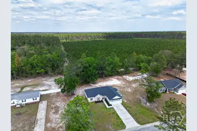 73 Taylor's Creek Spur, Ludowici, GA 31316 - Photo 37