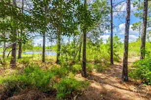 17 Oakcrest Ct, Savannah, GA 31405 - Photo 45