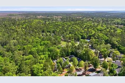 440 Ridgewood Park Drive S, Richmond Hill, GA 31324 - Photo 39
