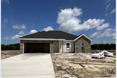 812 Doctor's Creek Road NE, Ludowici, GA 31316 - Photo 1