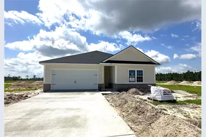 803 Doctor's Creek Road NE, Ludowici, GA 31316 - Photo 1