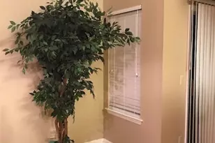348 Sterling Creek, Richmond Hill, GA 31324 - Photo 5