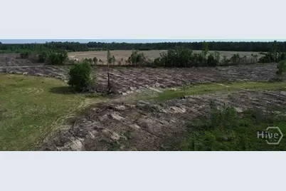 0 Bunn Store Road, Midville, GA 30441 - Photo 13