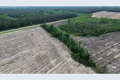 0 Bunn Store Road, Midville, GA 30441 - Photo 9