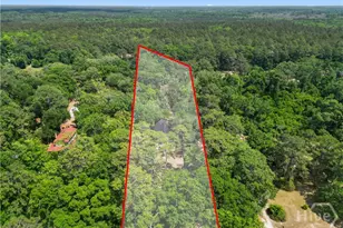 674 Dunlevie Rd, Allenhurst, GA 31301 - Photo 39