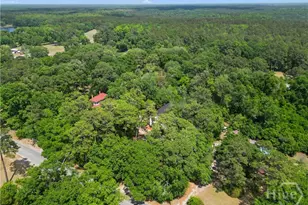 674 Dunlevie Rd, Allenhurst, GA 31301 - Photo 41
