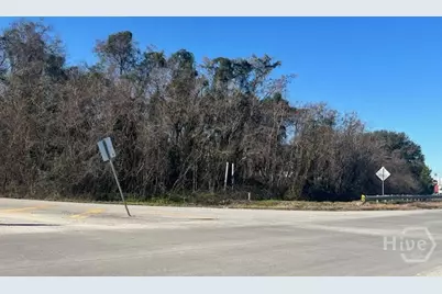 453 Bourne Avenue, Savannah, GA 31408 - Photo 1