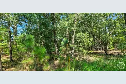 0 4th St, Guyton, GA 31312 - Photo 3