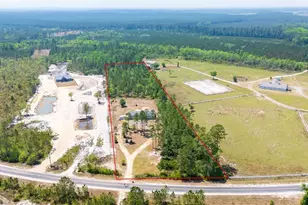 5349 NE George Swindell Rd, Ludowici, GA 31316 - Photo 3
