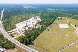 5349 NE George Swindell Rd, Ludowici, GA 31316 - Photo 37