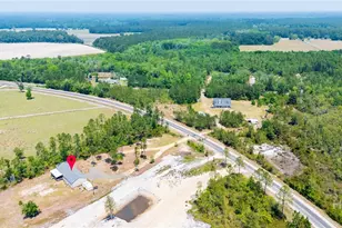 5349 NE George Swindell Rd, Ludowici, GA 31316 - Photo 39