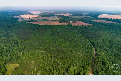 0 Fields Farm Road, Millen, GA 30442 - Photo 9
