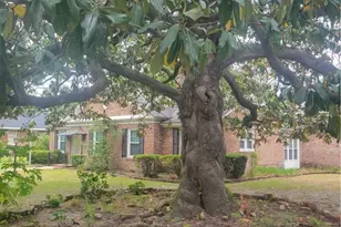 4620 Lansdowne St, Savannah, GA 31405 - Photo 35