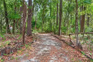 4777 Belfast River Rd, Richmond Hill, GA 31324 - Photo 53