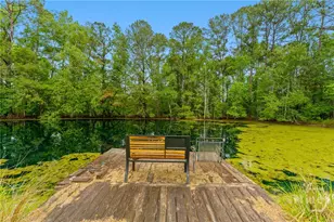 4221 Ga Hwy 119 Hwy N, Clyo, GA 31303 - Photo 55
