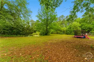 4221 Ga Hwy 119 Hwy N, Clyo, GA 31303 - Photo 57